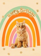 Regenboog kat Happy Birthday